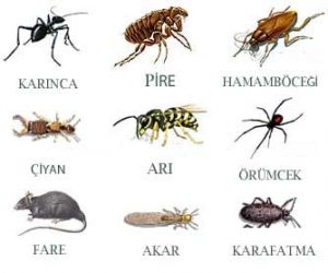 bocek-ilaclama-sirketi