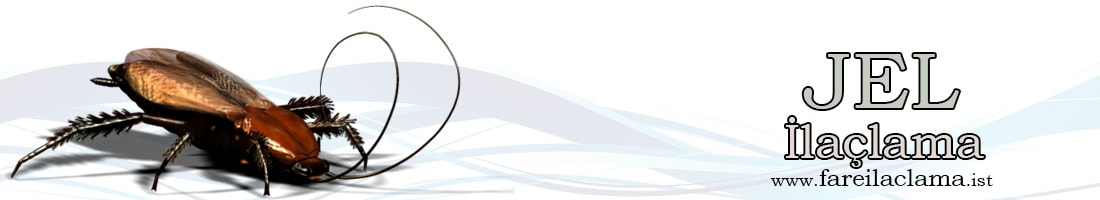 jel-ilaçlama