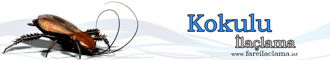 kokulu-ilaçlama