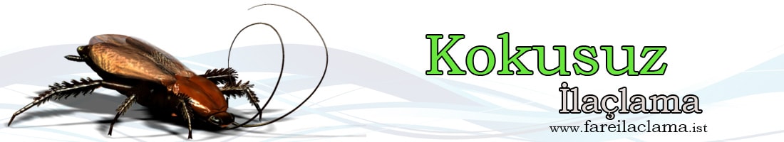 kokusuz-ilaçlama