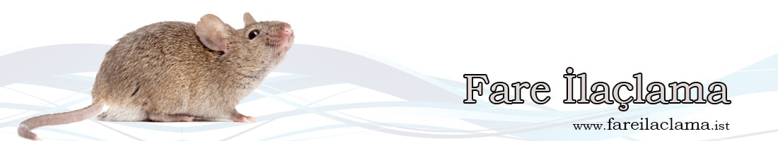 fare-ilaçlama-min