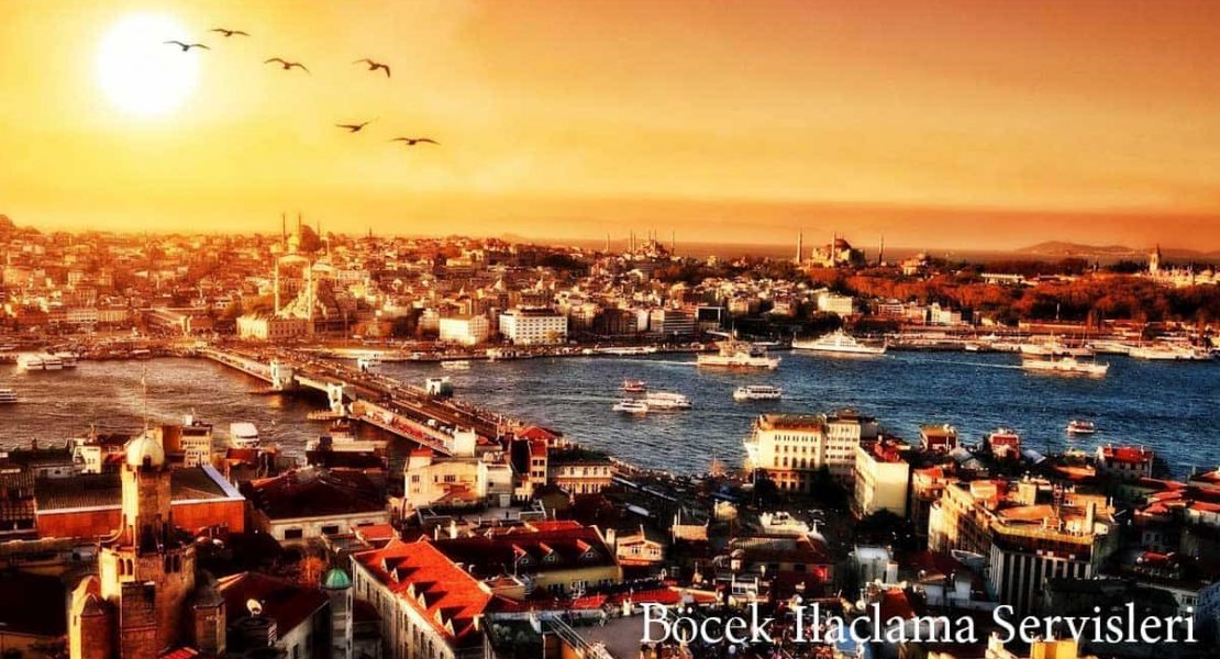 bocek-ilaclama-servisleri-1