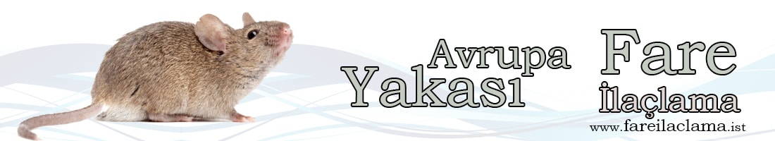 avrupa-yakası-fare-ilaçlama