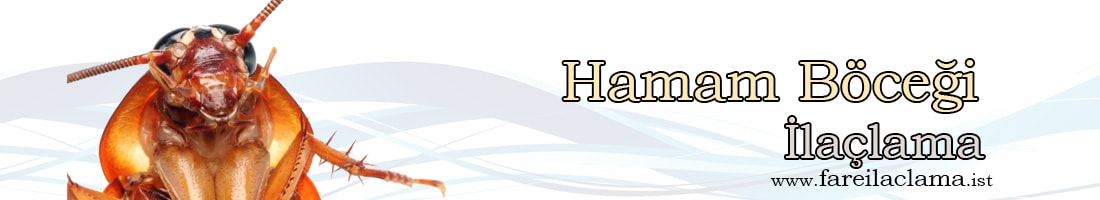hamam-böceği-ilaçlama