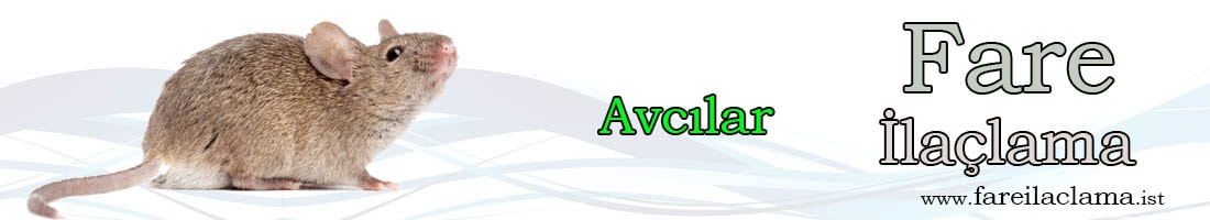 avcılar-fare-ilaçlama-min