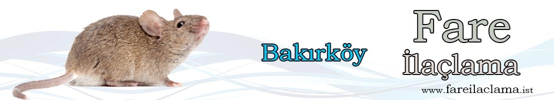 bakırköy-fare-ilaçlama-min
