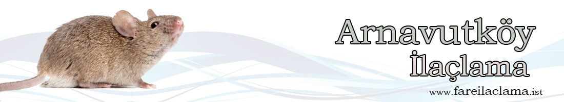 arnavutköy-ilaçlama