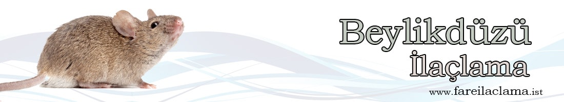 beylikdüzü-ilaclama