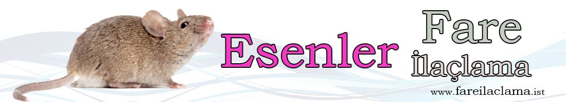 esenler-fare-ilaçlama-min