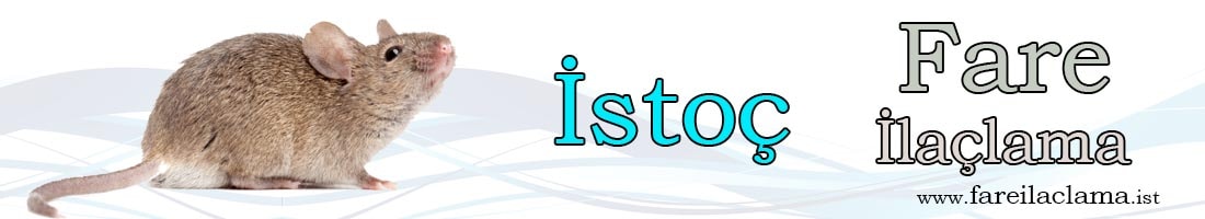 istoç-ilaçlama-rumeli-ilaçlama-min istoç-ilaçlama-rumeli-ilaçlama-min