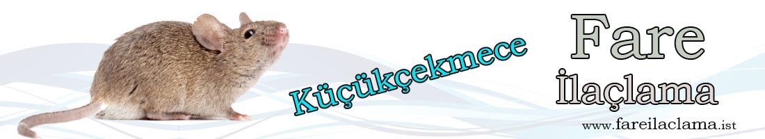 küçükçekmece-ilaçlama-rumeli-ilaçlama-min