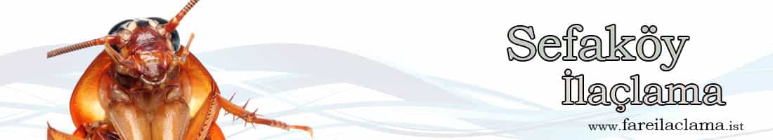 sefakoy-ilaçlama