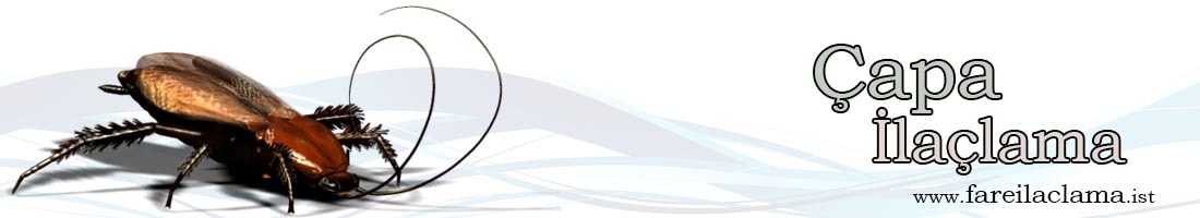 çapa-ilaçlama