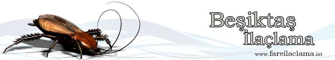 beşiktaş-ilaçlama