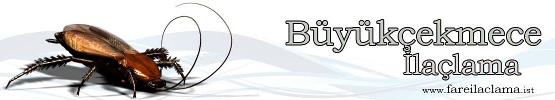 büyükçekmece-ilaçlama