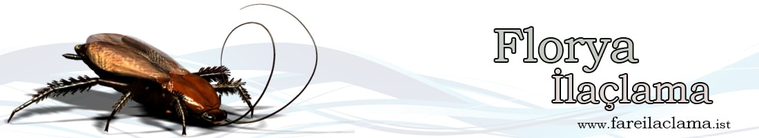 florya-ilaçlama
