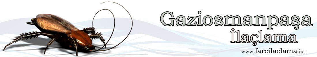 gaziosmanpaşa-ilaçlama