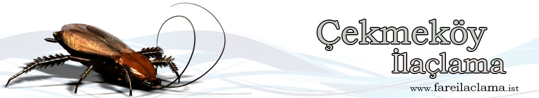 çekmeköy-ilaçlama-min (1)